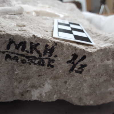 Mark Hammer's initials, and what may be a field number?