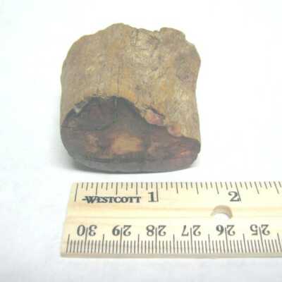 Limb Cast
