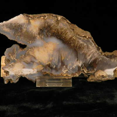 Quartz var. Agate (sagenite)