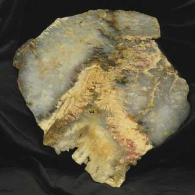 Grave Yard Plume Agate