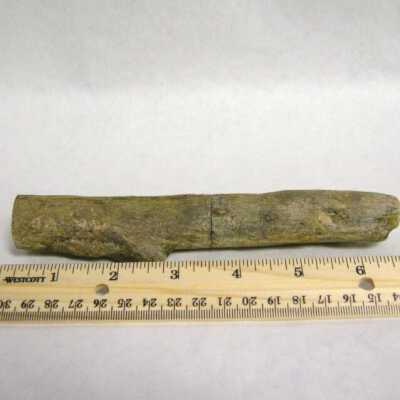 Petrified Wood