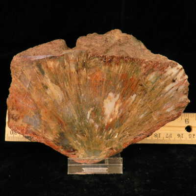 Quartz var. Agate (sagenite)