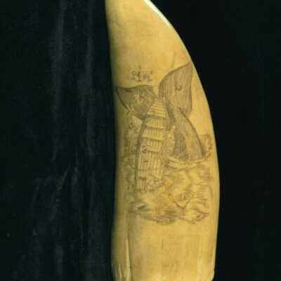 Scrimshaw