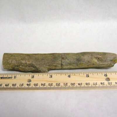 Limb Cast