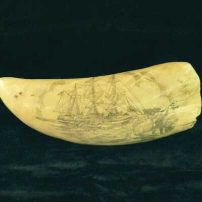 Scrimshaw