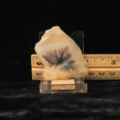 Dendritic Agate