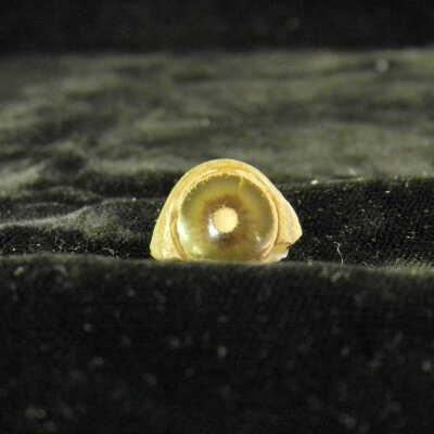 Quartz var. Agate