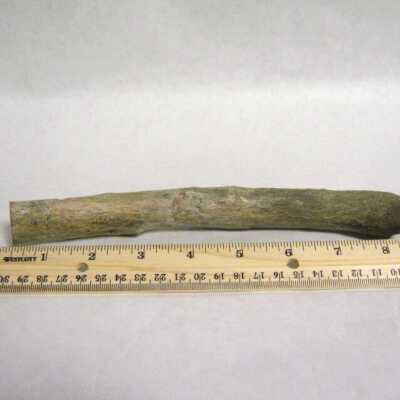 Limb Cast