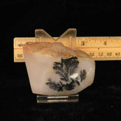 Dendritic Agate