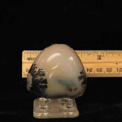 Dendritic Agate
