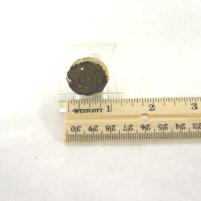 Limb Cast