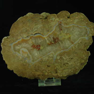 Thunderegg