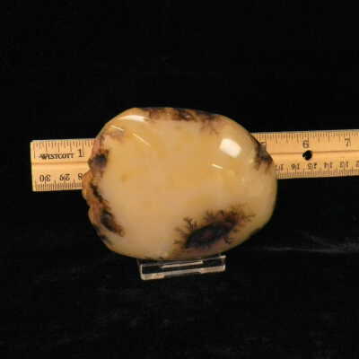 Dendritic Agate