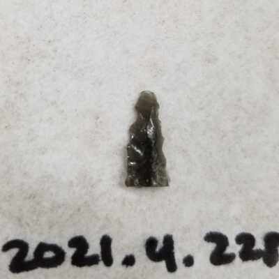 Projectile Point Fragment