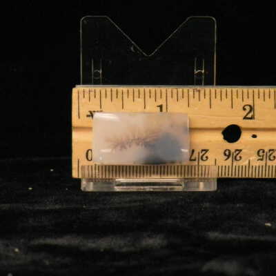 Dendritic Agate