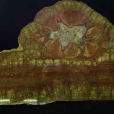 Thunderegg / Rhyolite