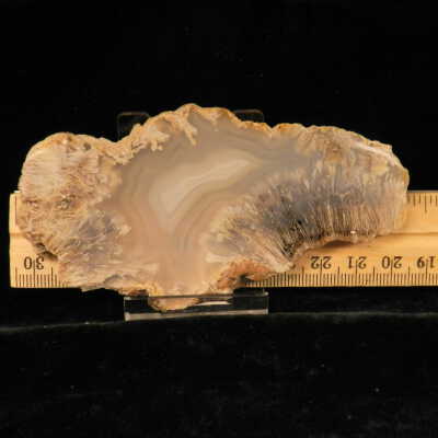 Quartz var. Agate (sagenite)