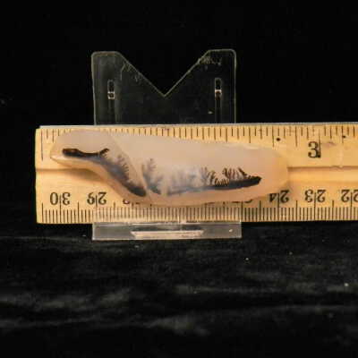Dendritic Agate