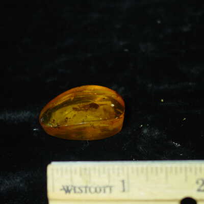 Amber