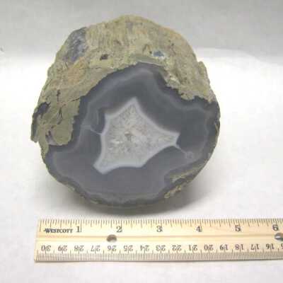 Limb Cast