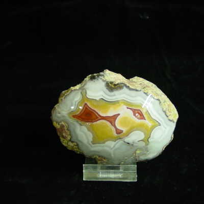 Coyamito Agate