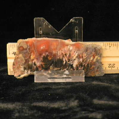 Plume Agate