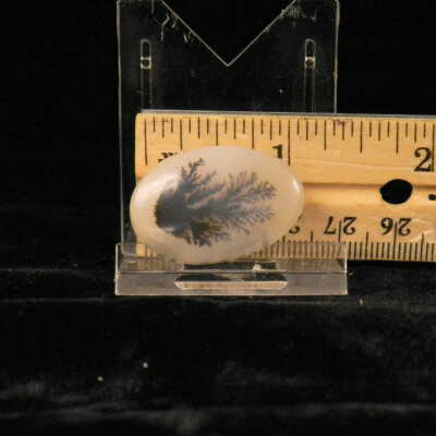 Dendritic Agate
