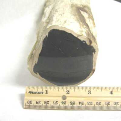 Limb Cast