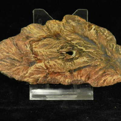 Sagenite (Agate)