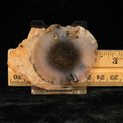 Quartz var. Agate (sagenite)