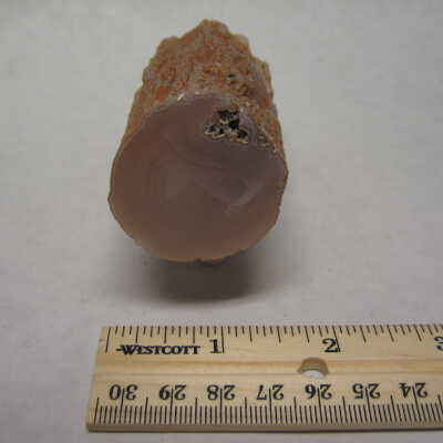Paulina Pink Limb Cast