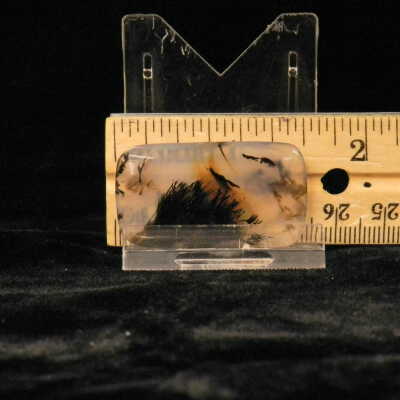 Dendritic Agate