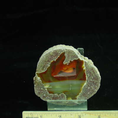 Thunderegg