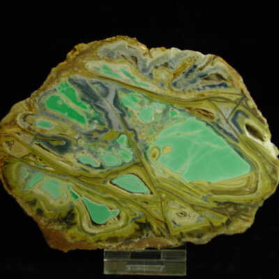 Varicite