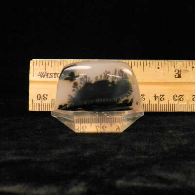 Dendritic Agate