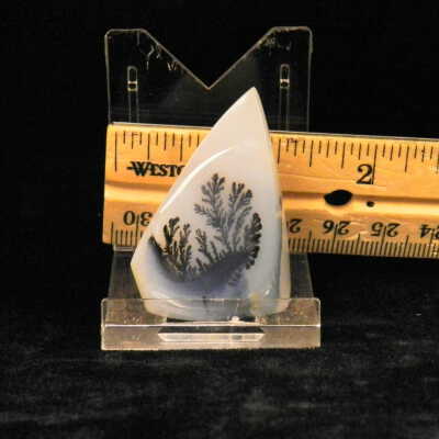 Dendritic Agate