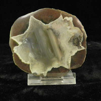 Thunderegg