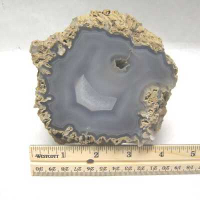 Limb Cast