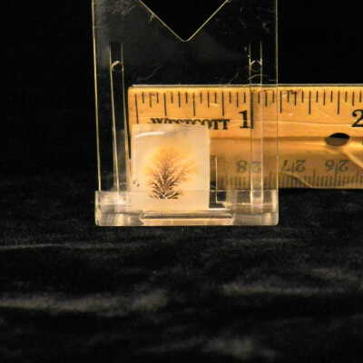 Dendritic Agate