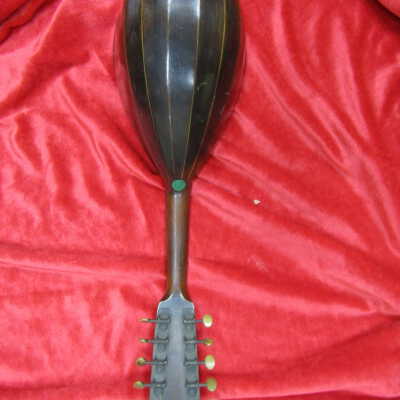 Lute