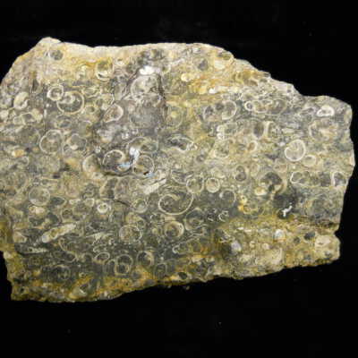 Limestone