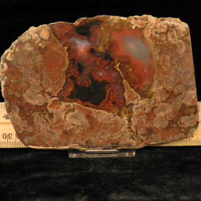 Plume Agate