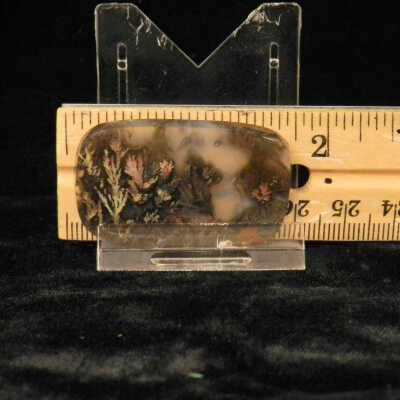 Plume Agate