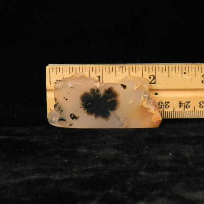Dendritic Agate