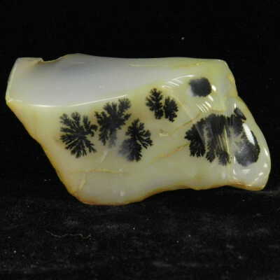 Quartz var. Agate