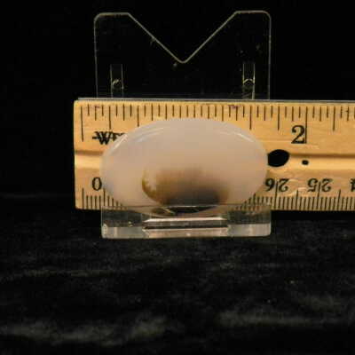 Dendritic Agate