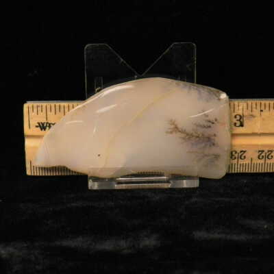 Dendritic Agate