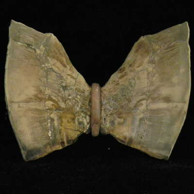 Quartz var. Agate