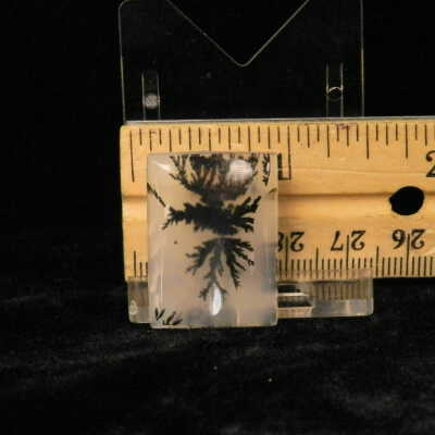 Dendritic Agate