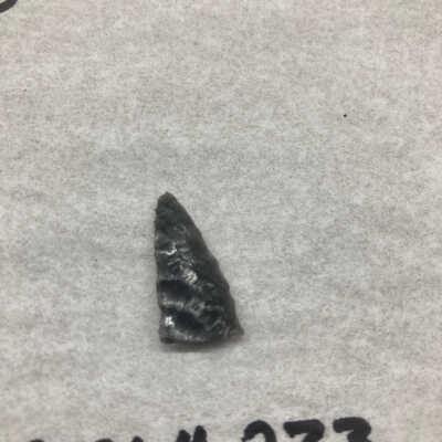 Projectile Point Fragment Distal